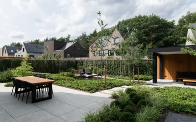 Moderne tuin in Japanse sferen