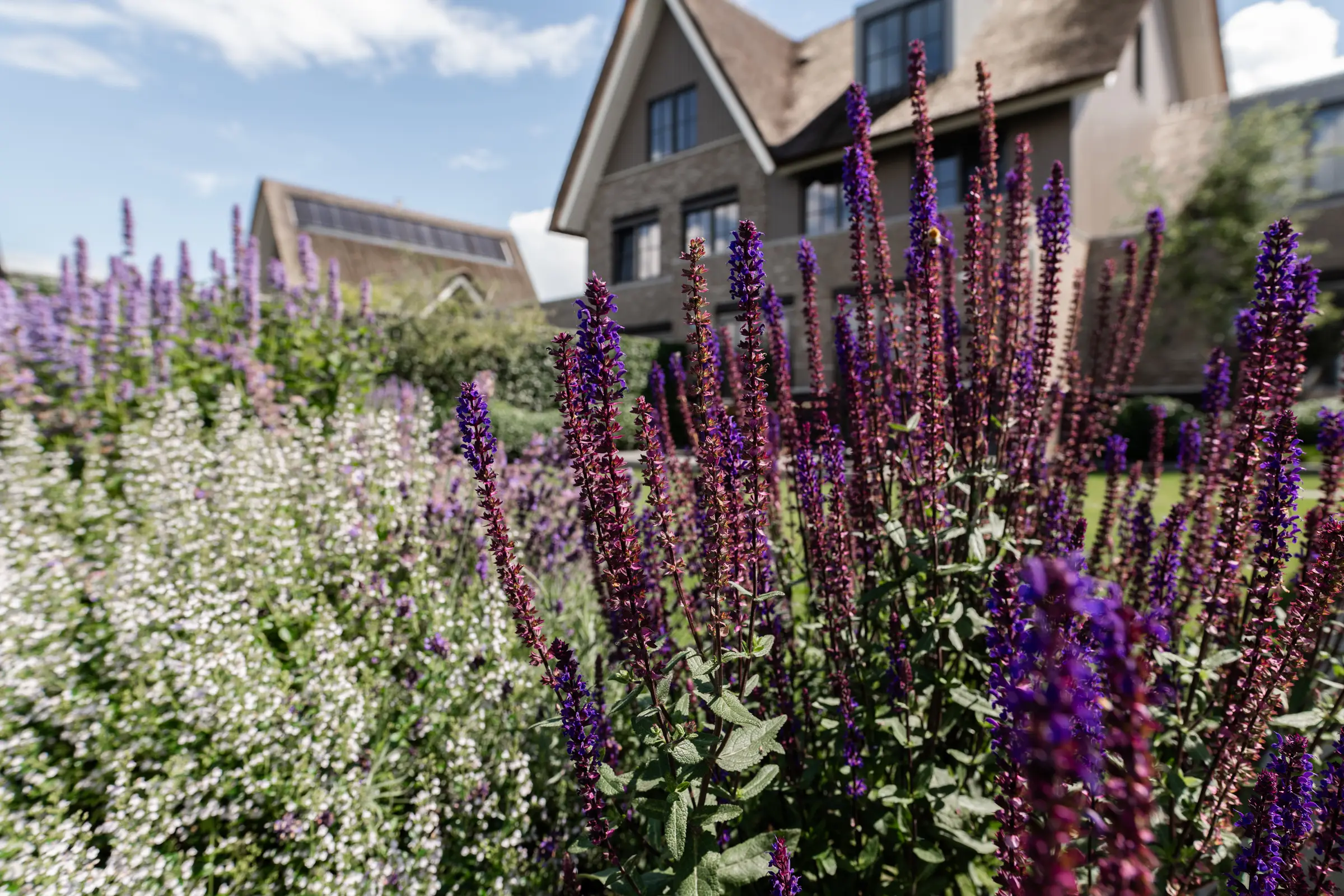 moderne-tuin-weesp-38