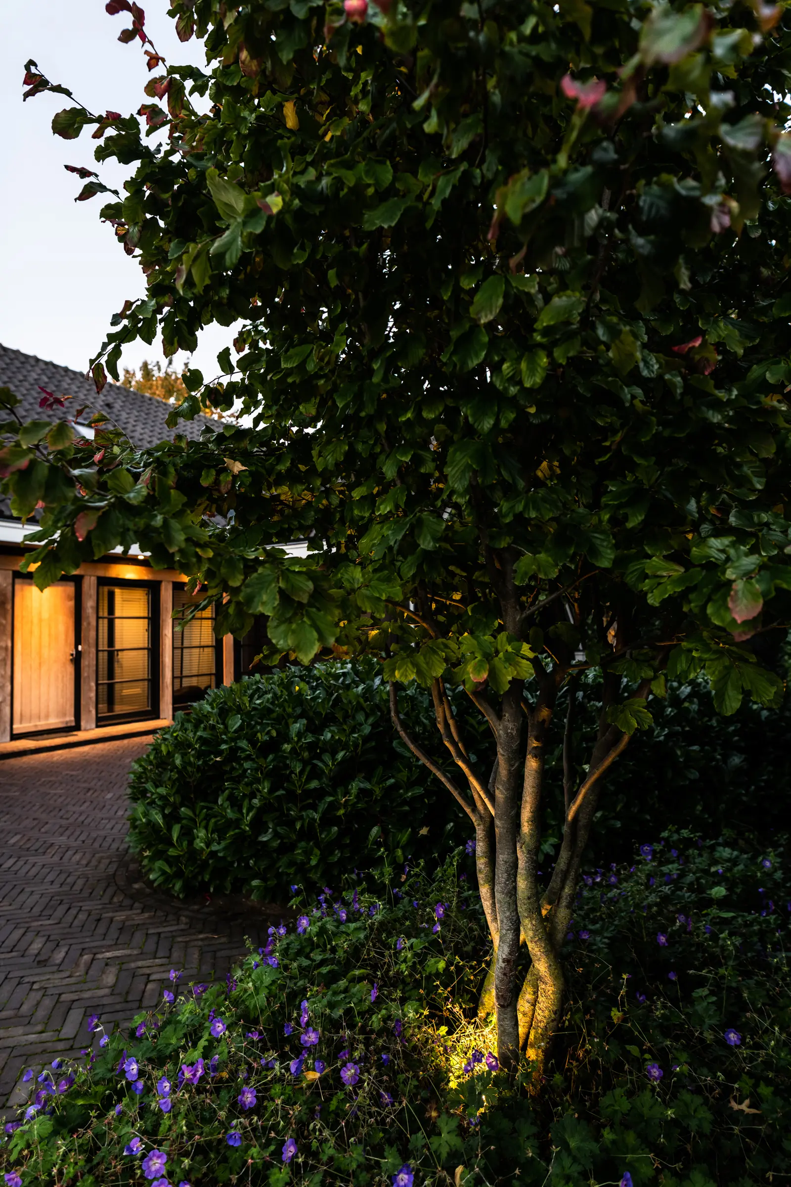tuinverlichting-bunnik-32